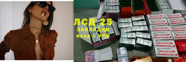 шишки Осинники