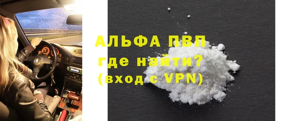 шишки Осинники