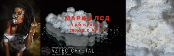 шишки Осинники
