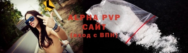 шишки Осинники