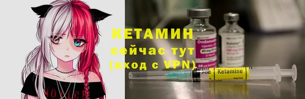 шишки Осинники
