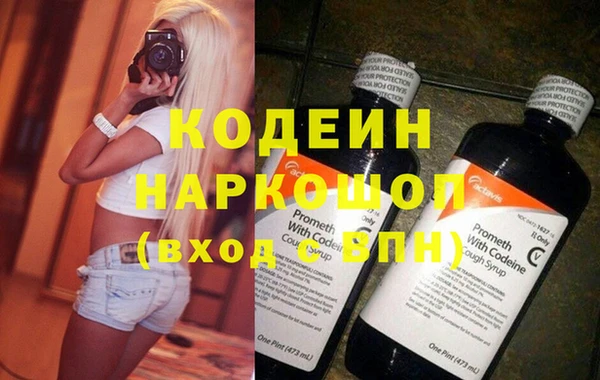 шишки Осинники