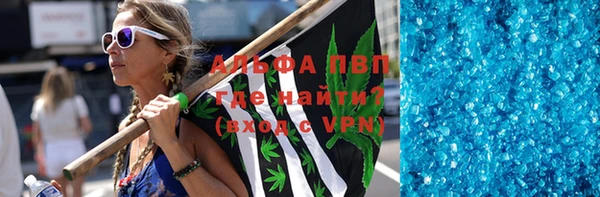 шишки Осинники