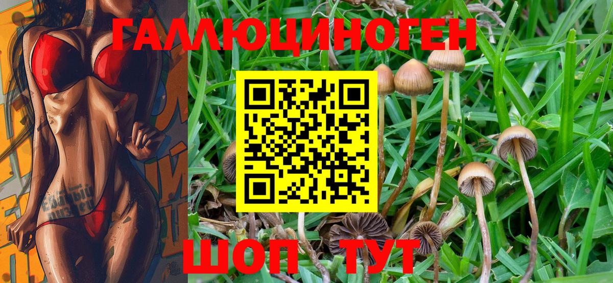 Галлюциногенные грибы Psilocybine cubensis  Галлюциногенные грибы GOLDEN TEACHER  Саранск  где продают   Вход с VPN 