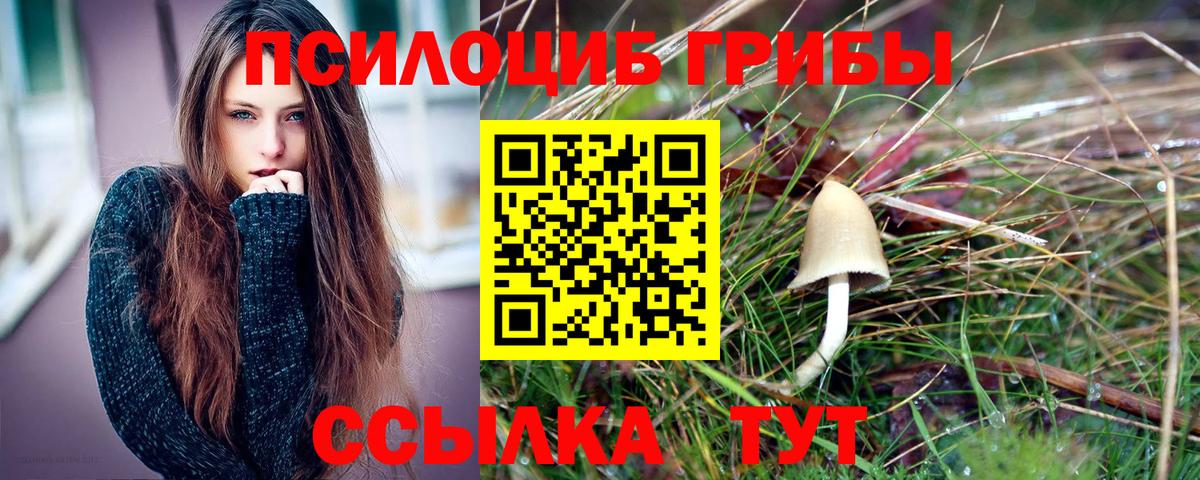 Псилоцибиновые грибы ЛСД Саранск
