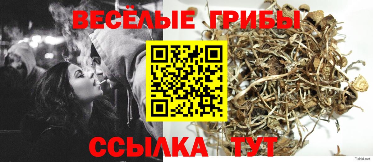 Галлюциногенные грибы прущие грибы Саранск
